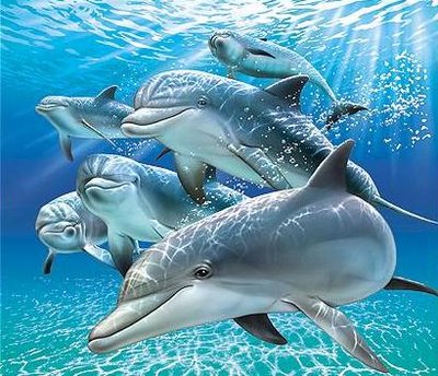Las madres exitosas obtienen ayuda de sus amigas: estudio de los delfines