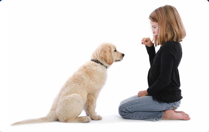 ¿Los dueños de mascotas son más sanos y felices?