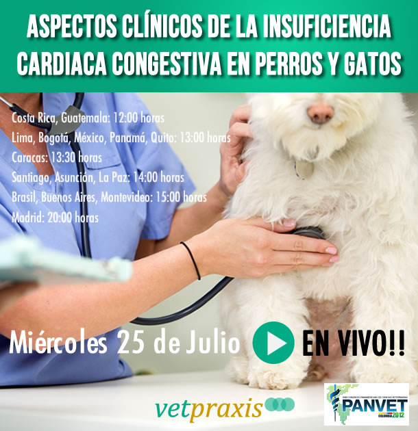 Video: Clínicos de la Insuficiencia Cardiaca Congestiva en Perros y Gatos