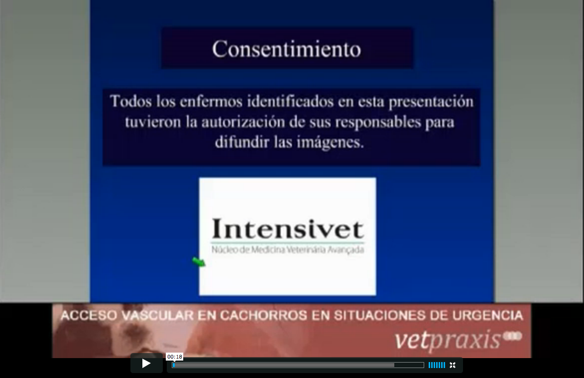 Video: "Acceso Vascular en Cachorros en Situaciones de Urgencia"