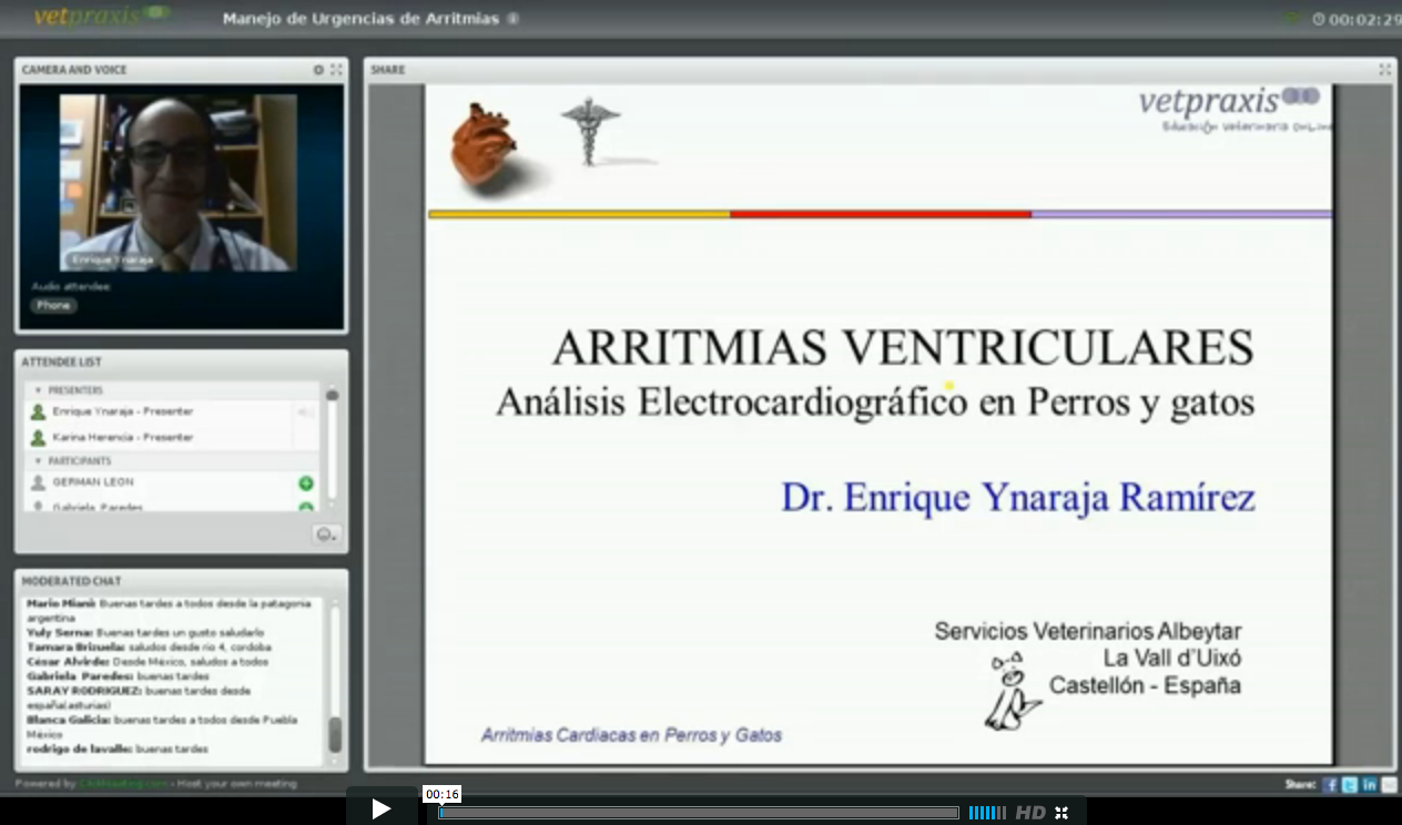 Video: "Arritmias Cardiacas en Perros y Gatos"