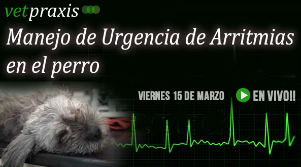 En VIVO: "Manejo de Urgencia de Arritmias Ventriculares en el Perro"