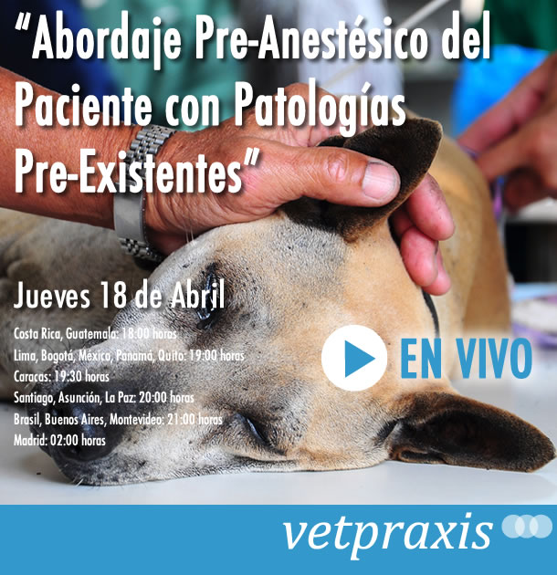 En Vivo: “Abordaje Pre-Anestésico del Paciente con Patologías Pre-Existentes”