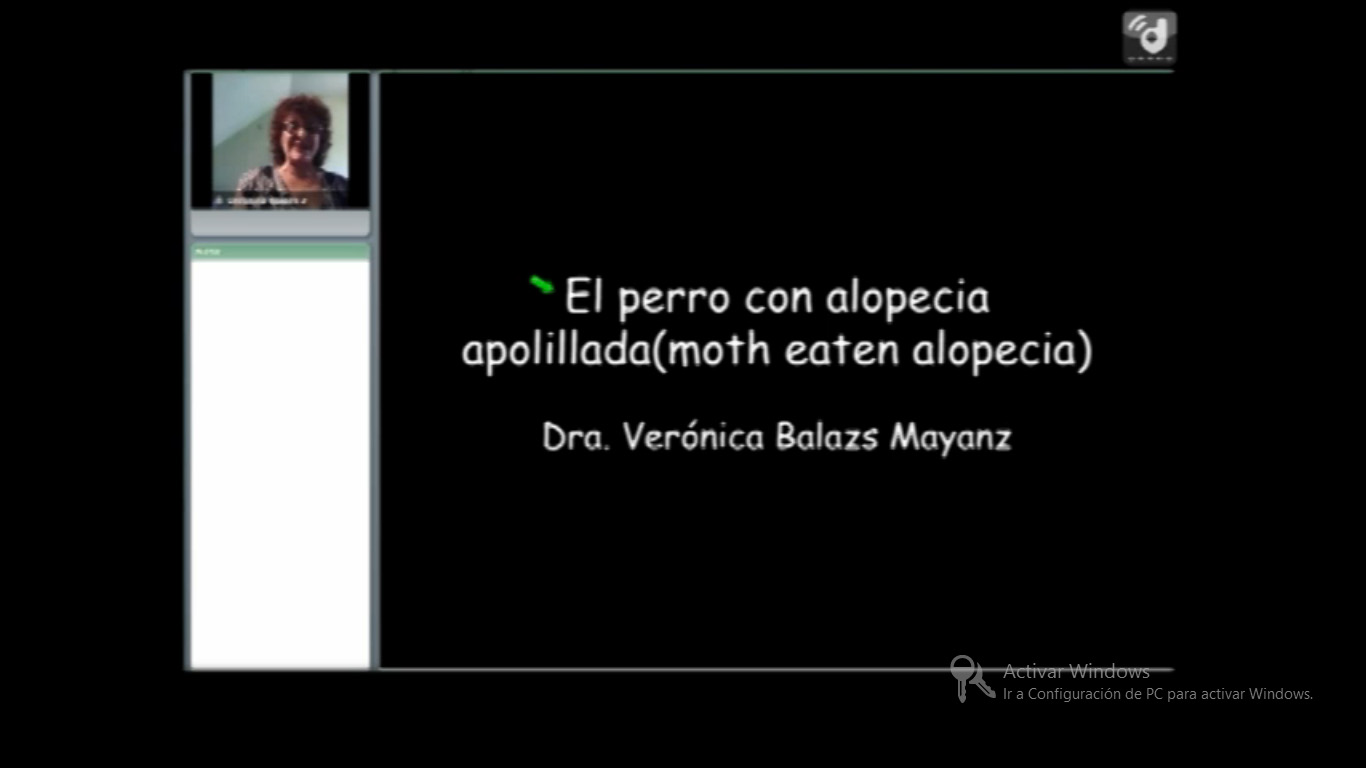 Video: "Diagnóstico diferencial de la alopecia focalizada: Perro apolillado"