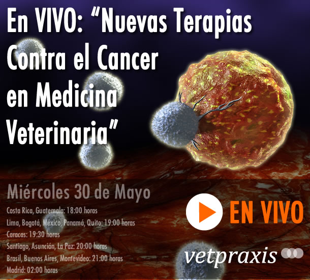 En VIVO: Nuevas Terapias Contra el Cancer en Medicina Veterinaria