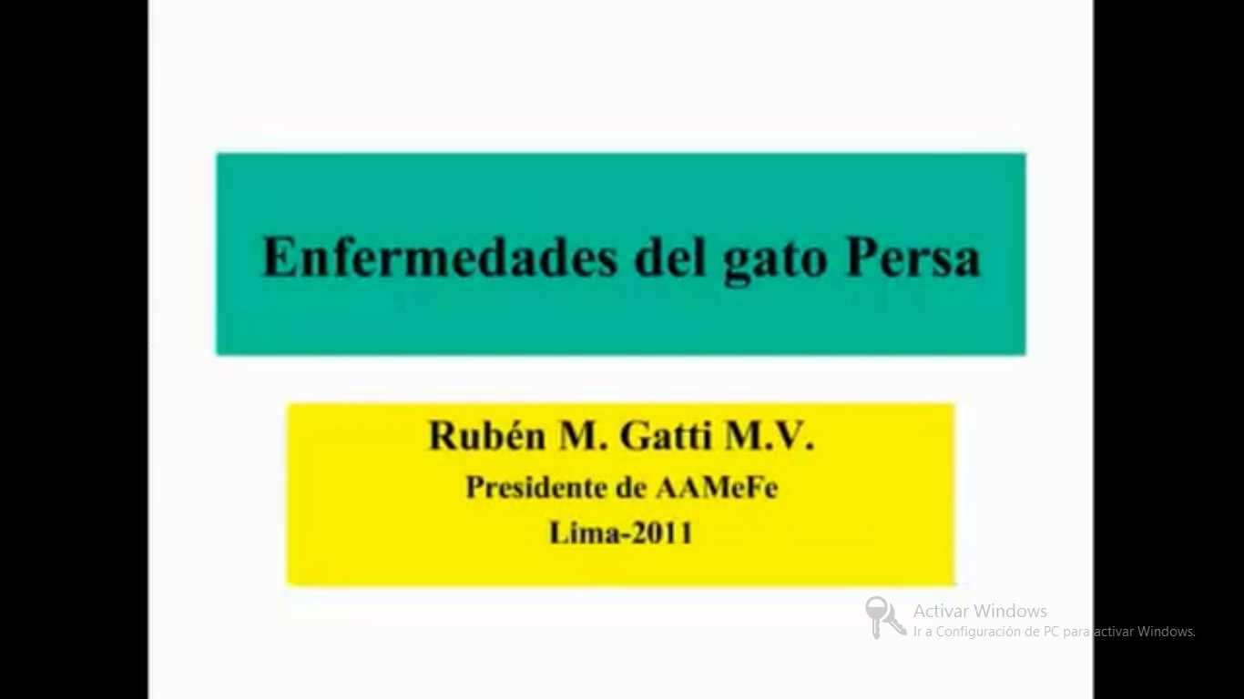 Video: "Enfermedades del Gato Persa"