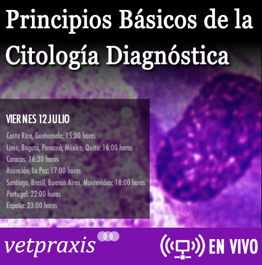 En Vivo: "Principios Básicos de la Citología Diagnóstica"