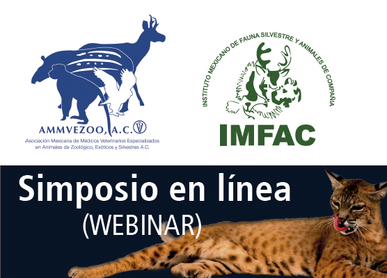 IMFAC Organiza primer Webinar desde el CVDL