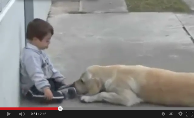 El video de un niño con síndrome de Down jugando con su perra sigue conmoviendo al mundo