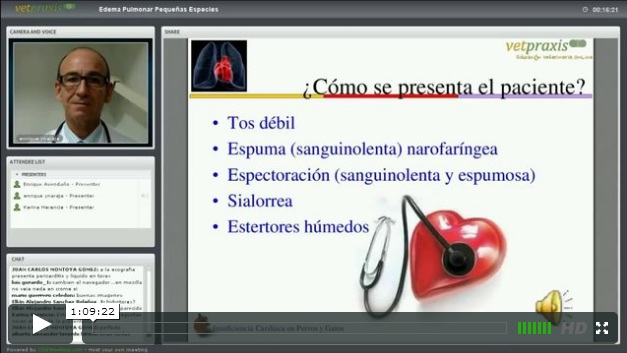 Video: Edema pulmonar en la Clínica de Pequeñas especies: Identificación y Tratamiento