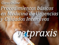 Video: Pregúntale al Experto: Toma de Decisiones en Urgencias, Segundos que Salvan Vidas