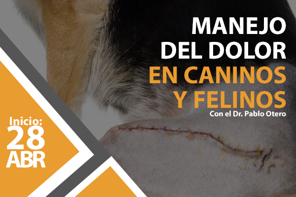 manejo del dolor2016