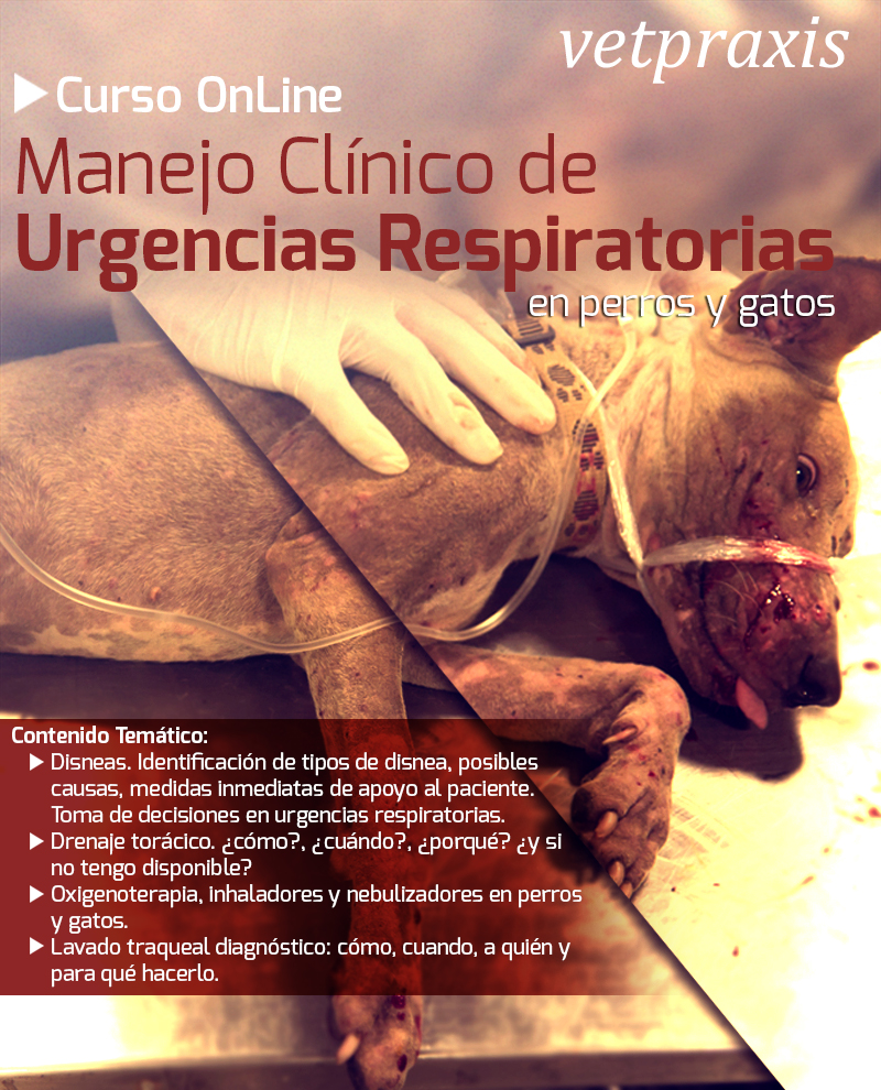 curso urgencias 