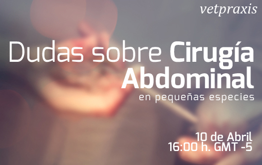 Pregúntale al Experto: Dudas sobre Cirugía Abdominal en Pequeñas Especies