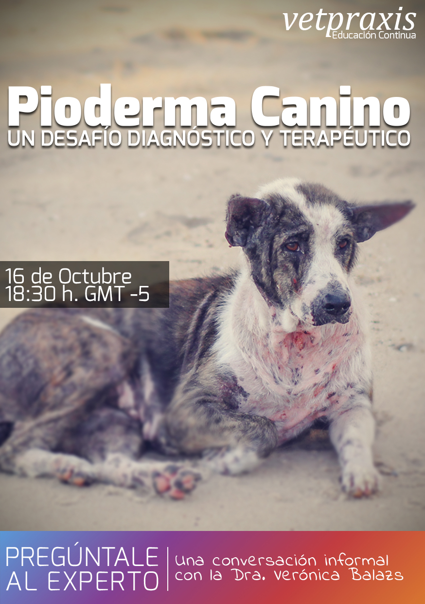 Pioderma Canino: Un desafío diagnóstico y terapéutico