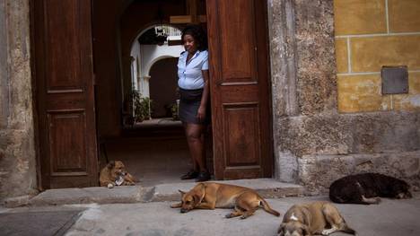 (Yarisbel Perez, guardia del museo en La Habana, junto con sus perros./ AP) 