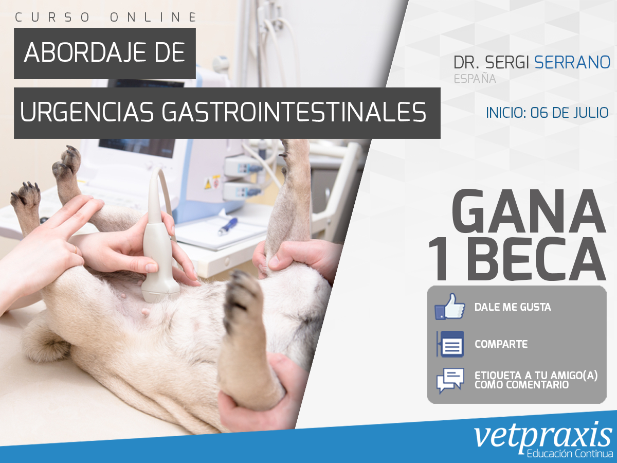 Gana una beca para Abordaje de Urgencias Gastrointestinales