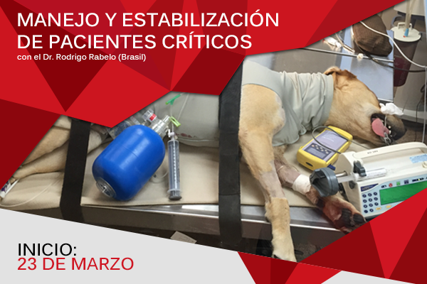 manejo pacientes criticos 2016