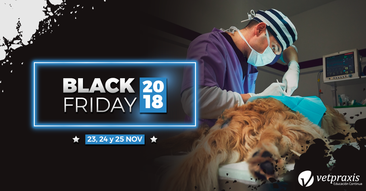 Vetpraxis: Black Friday 2018