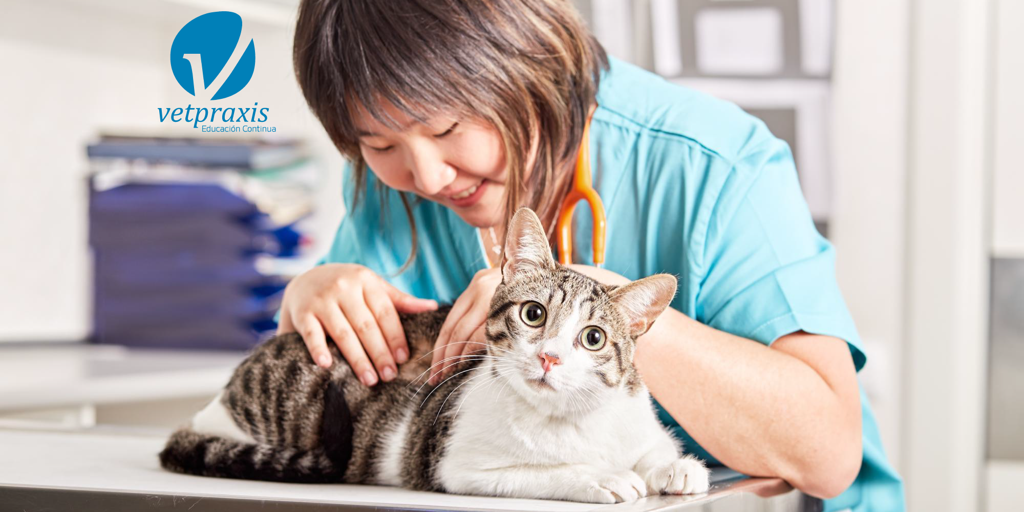 Reto Veterinario: Gato en urgencias